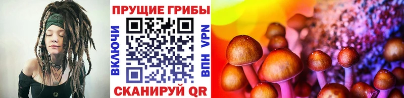 Псилоцибиновые грибы Psilocybine cubensis  купить наркотик  Буйнакск 